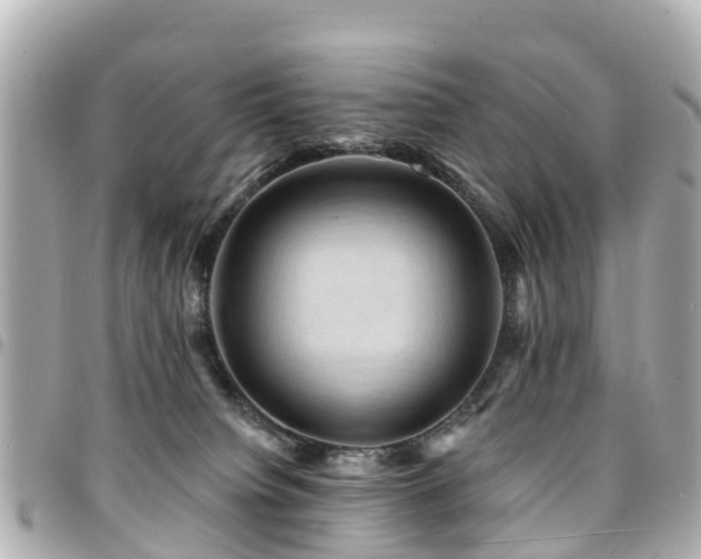 X0000094420084200711081145