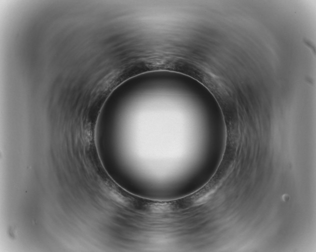 X0000094420085200711081145