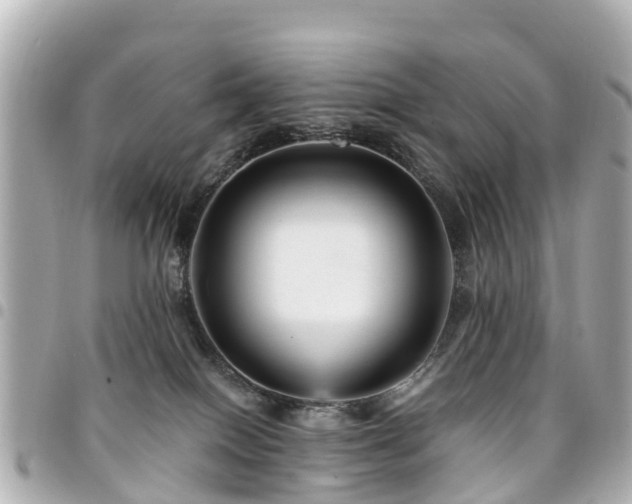 X0000094420086200711081145