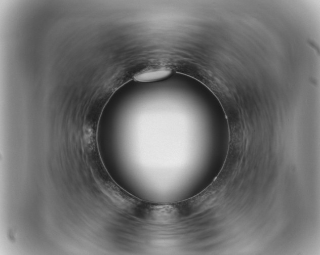 X0000094420087200711081145