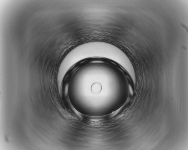 X0000094420088200711081145