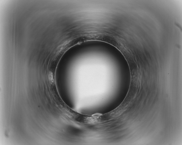 X0000094420089200711081145