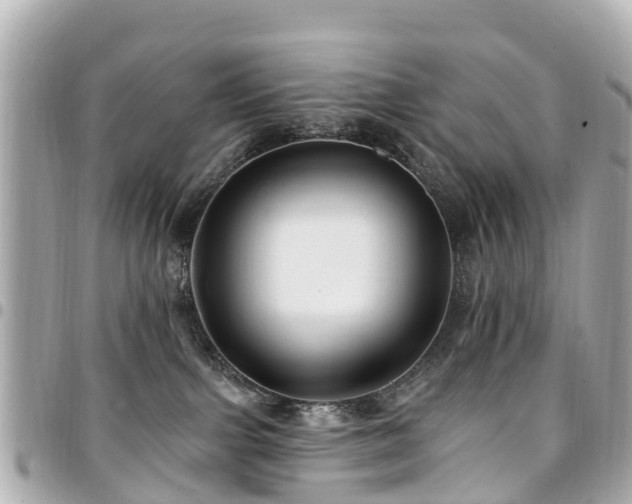 X0000094420091200711081145