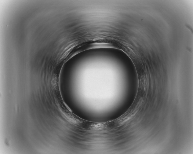 X0000094420092200711081145