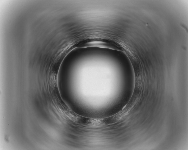 X0000094420093200711081145