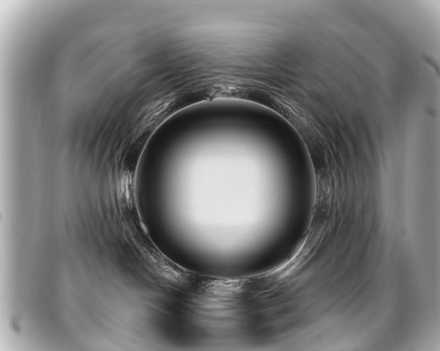 X0000094420094200711081145