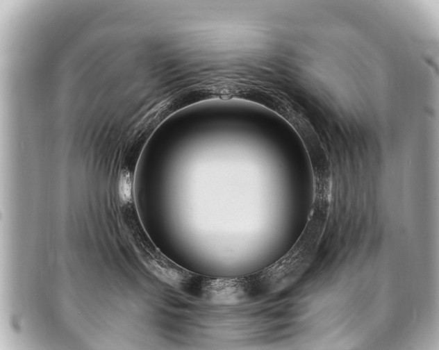 X0000094420095200711081145
