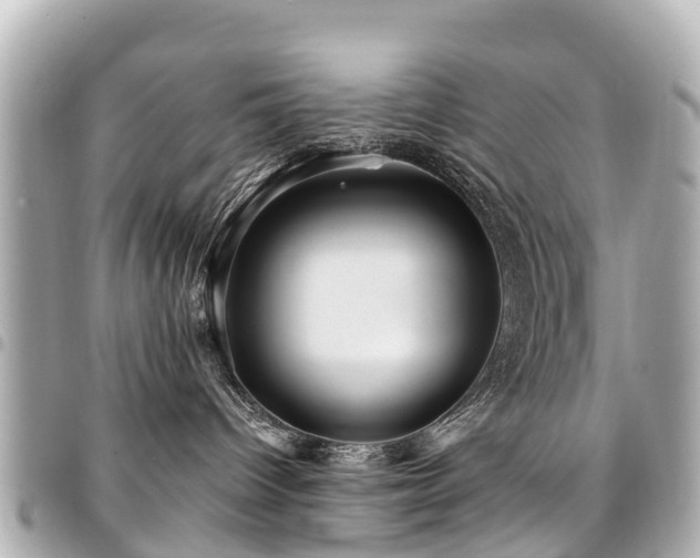 X0000094420096200711081145