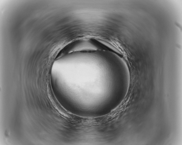 X0000094420097200711081144
