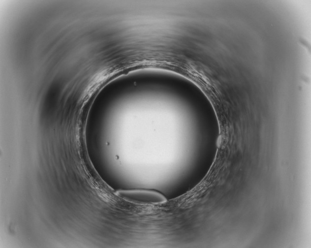 X0000094420098200711081144