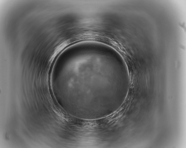 X0000094420099200711081144