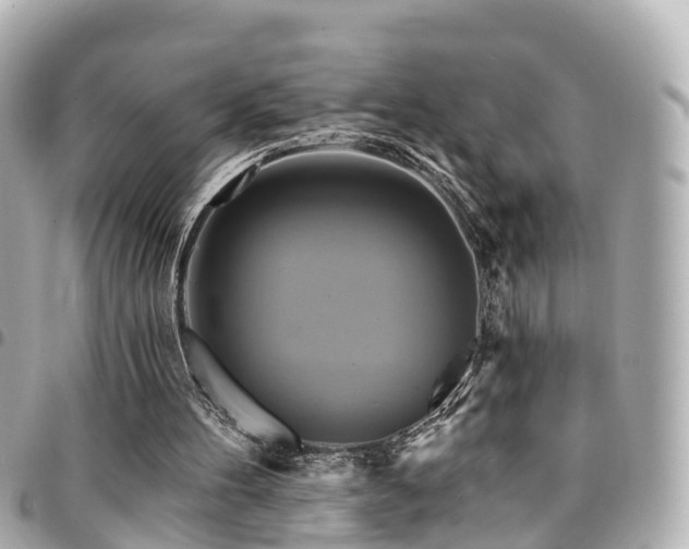 X0000094420100200711081144