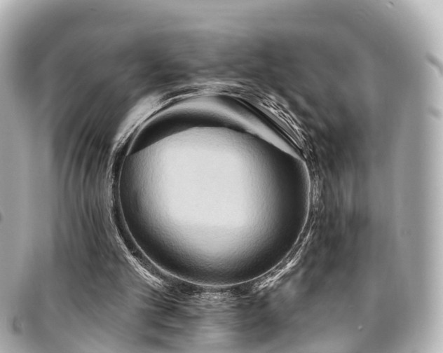 X0000094420101200711081144