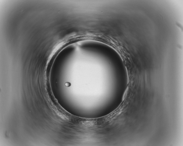 X0000094420102200711081144