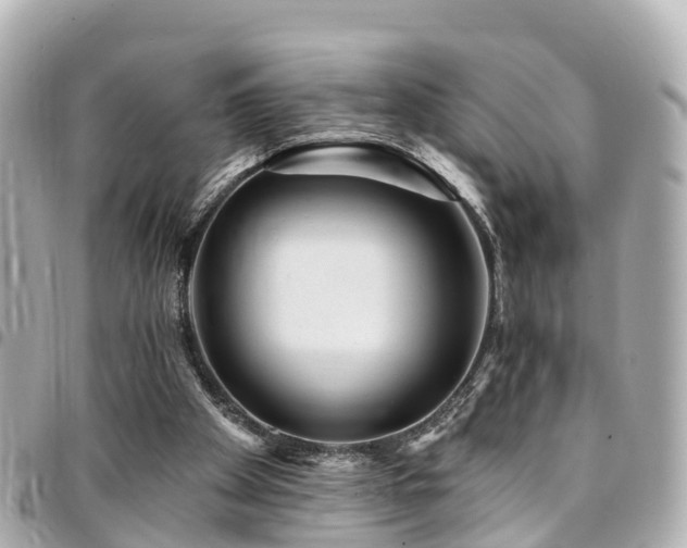 X0000094420105200711081144
