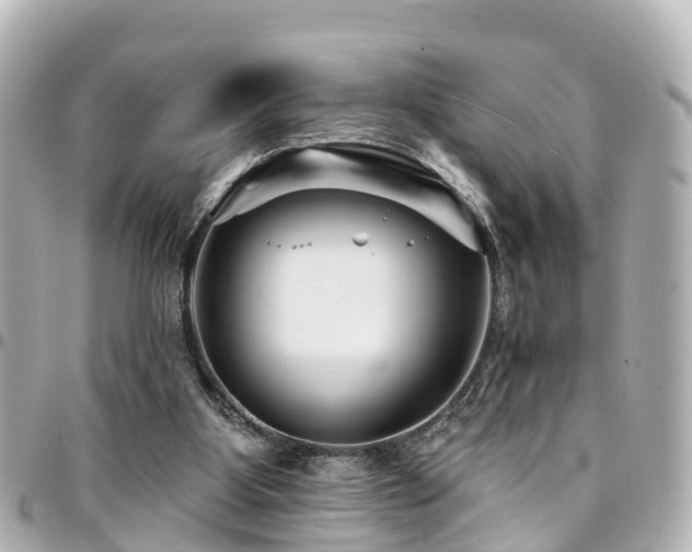 X0000094420107200711081144