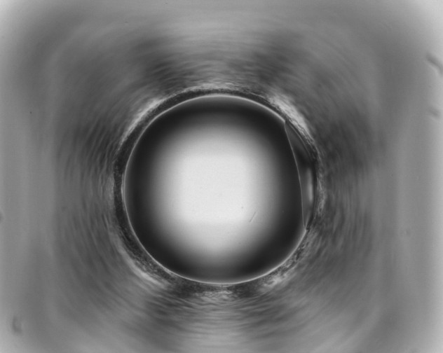 X0000094420108200711081144
