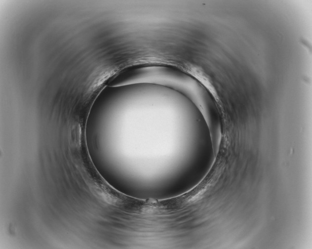 X0000094420109200711081144