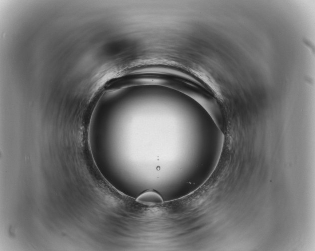 X0000094420111200711081144