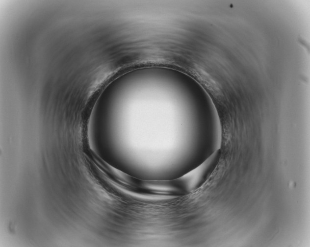 X0000094420112200711081144
