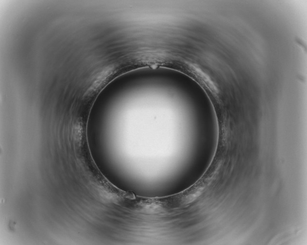 X0000094420113200711081144