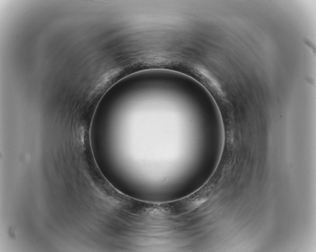 X0000094420115200711081144