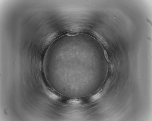 X0000094420117200711081144