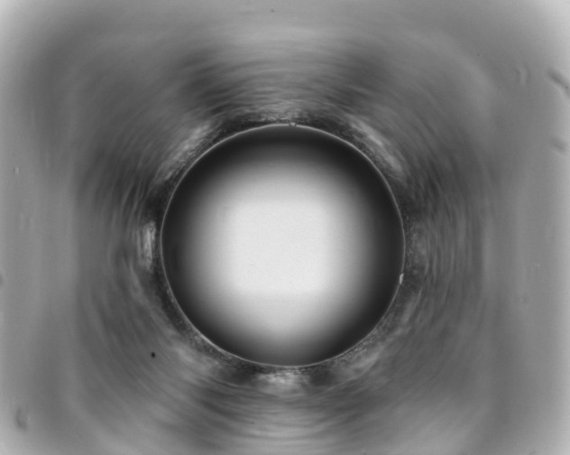 X0000094420118200711081144
