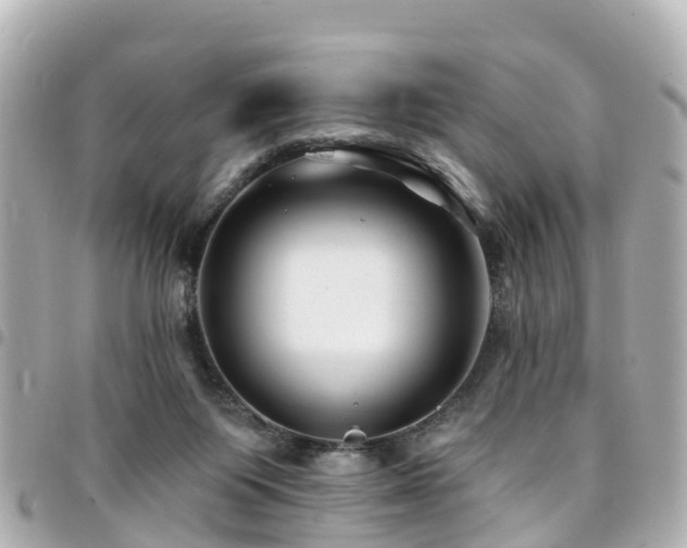 X0000094420119200711081144