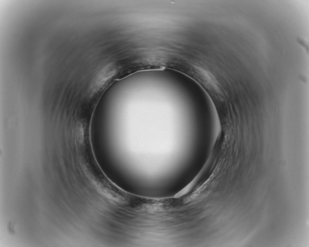 X0000094420120200711081144