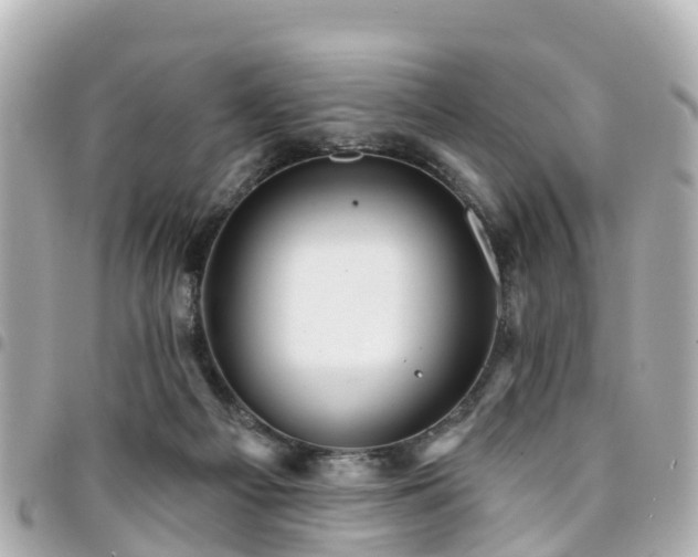 X0000094420121200711081144