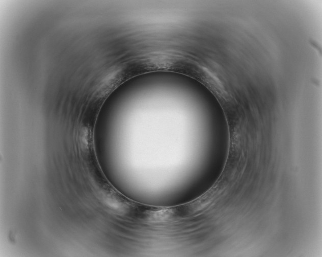 X0000094420122200711081144