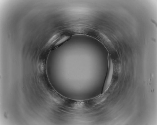 X0000094420124200711081144
