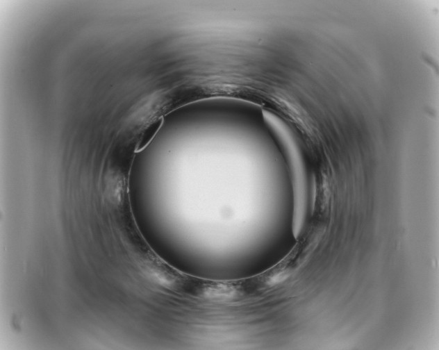 X0000094420125200711081144