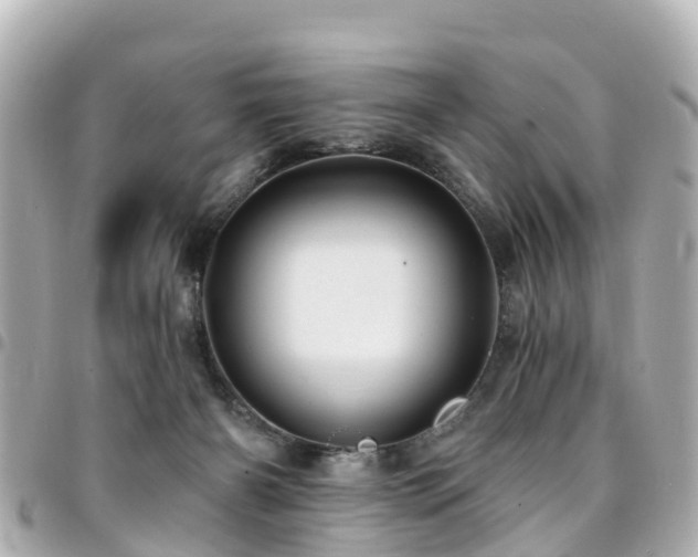 X0000094420126200711081144