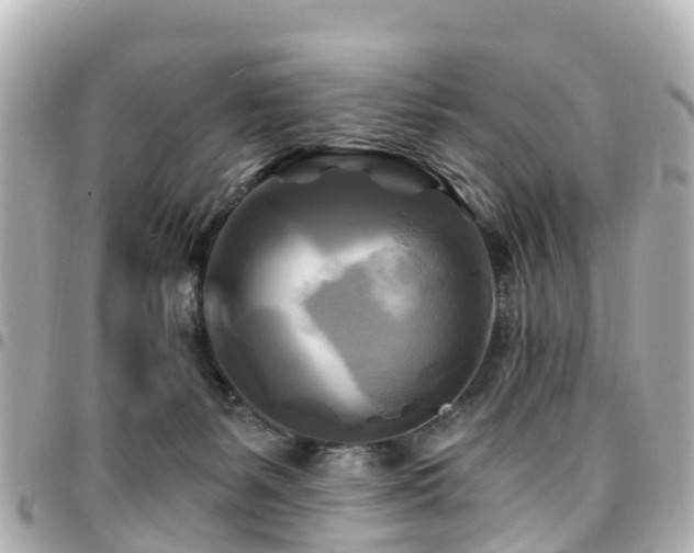 X0000094420127200711081144