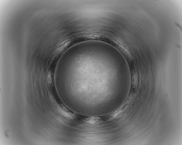 X0000094420128200711081144