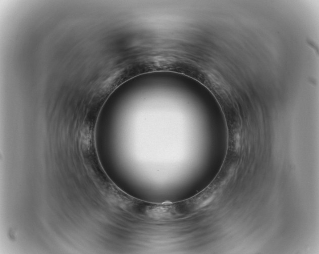 X0000094420129200711081144