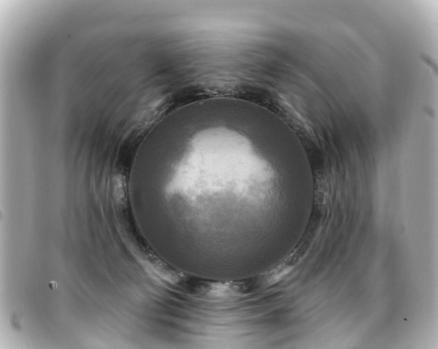 X0000094420130200711081144