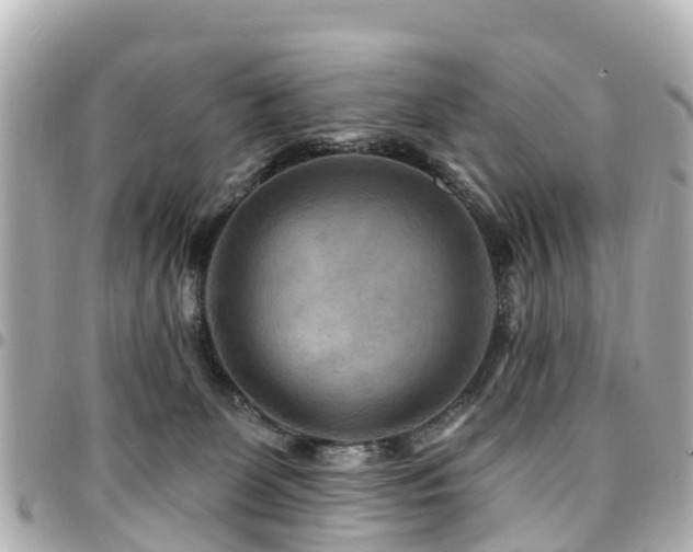 X0000094420131200711081144