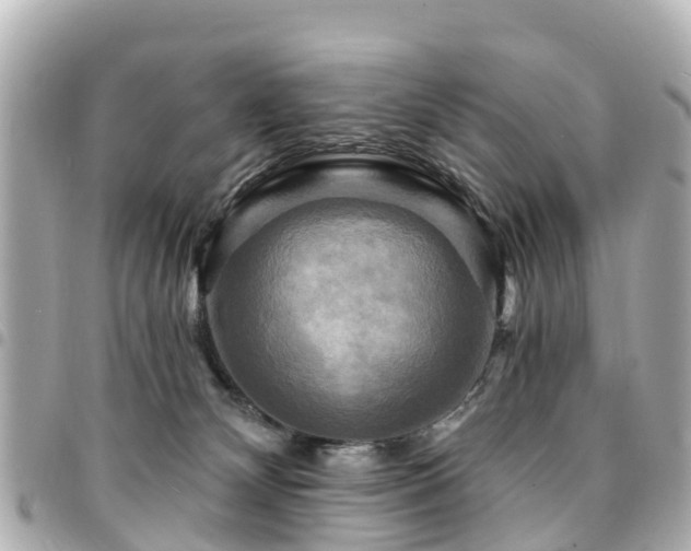 X0000094420132200711081144