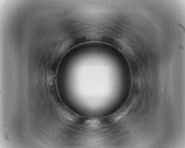 X0000094420133200711081144