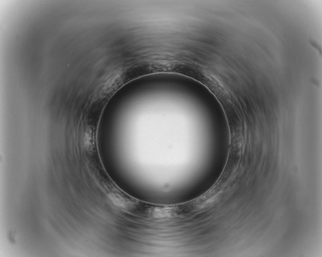 X0000094420134200711081144