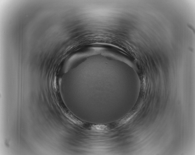 X0000094420137200711081144
