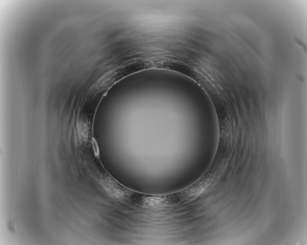 X0000094420139200711081144