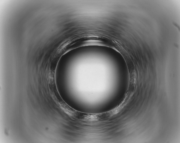 X0000094420140200711081144