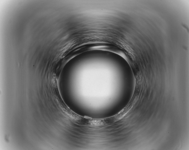 X0000094420141200711081144