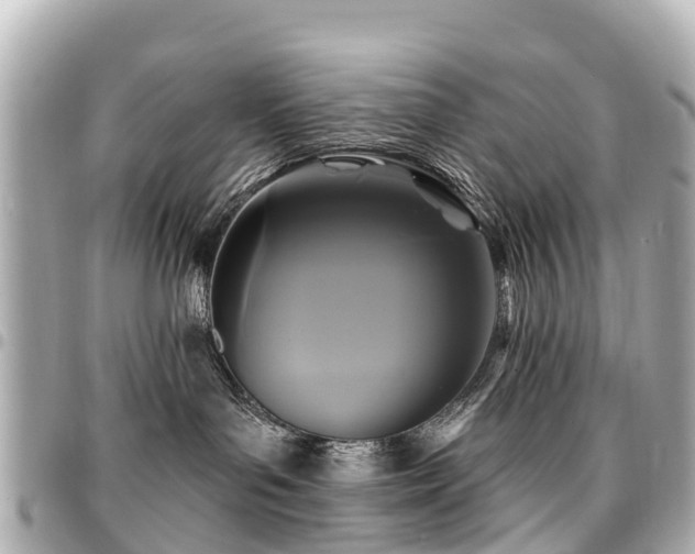 X0000094420143200711081144