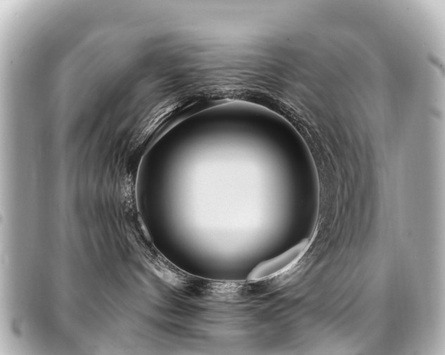 X0000094420144200711081144