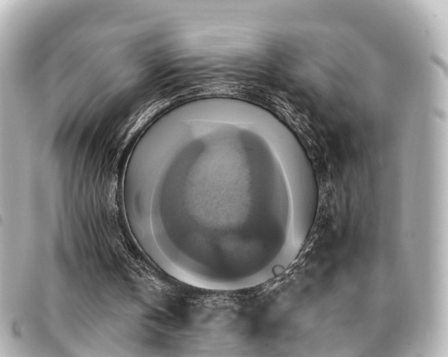 X0000094420146200711081143